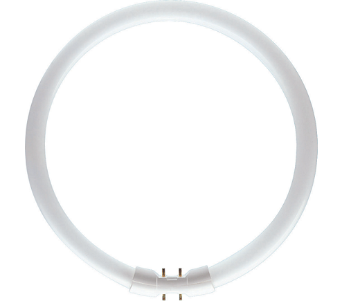 Ceiling Lights
